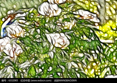 花影與鋼骨 當白色牡丹藝術畫邂逅健身器材